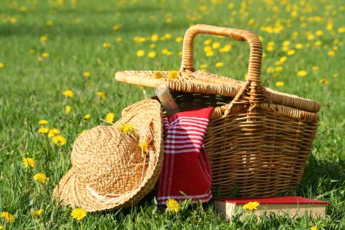 picnic