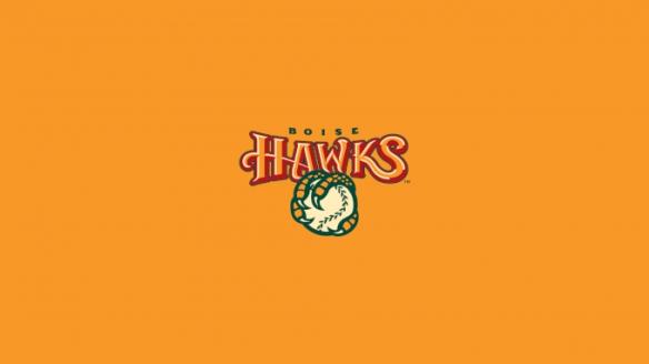 hawks